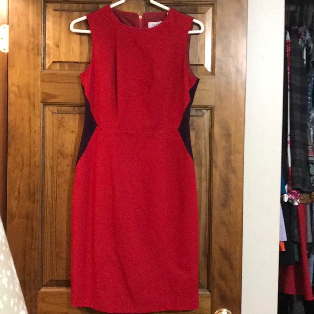 Calvin Klein purple and red dress.